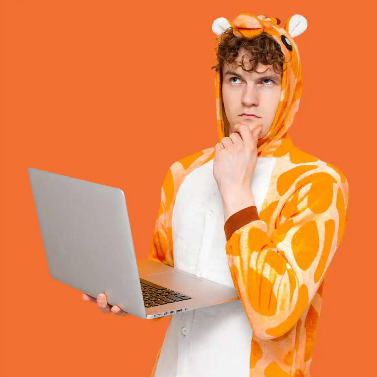 WordPress hulp nodig?